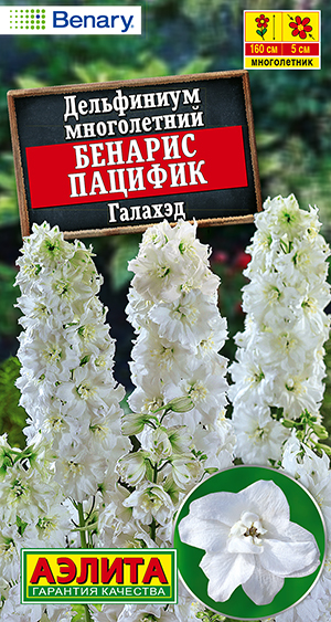Дельфиниум Бенарис пацифик галахэд