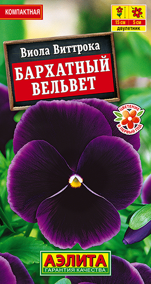 Виола Бархатный вельвет Виола Бархатный вельвет