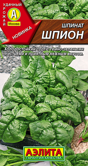 Шпинат Шпион Шпинат Шпион