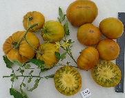 Томат Изумрудный город Томат Изумрудный город