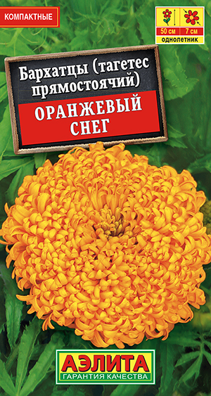 �������� ��������� ���� ������������