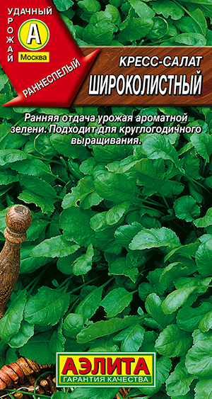 Кресс-салат Широколистный Кресс-салат Широколистный