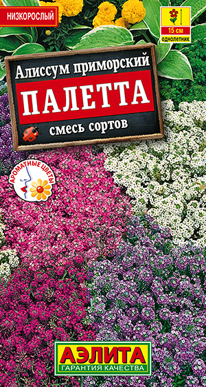 Алиссум Палетта, смесь сортов Алиссум Палетта, смесь сортов