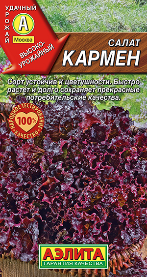 ����� ������ ��������