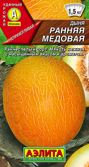 ���� ������ �������