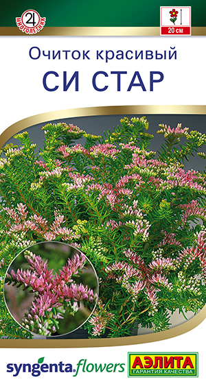 Очиток красивый Си стар Очиток красивый Си стар