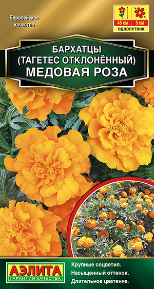 �������� ������� ���� �����������