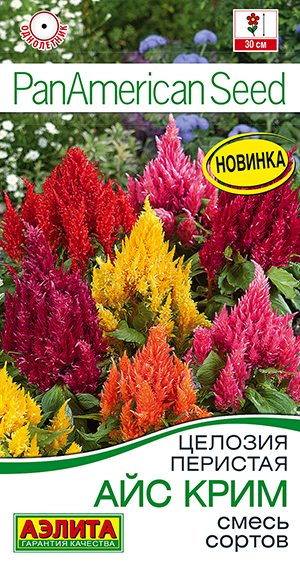 Целозия перистая Айс крим, смесь сортов