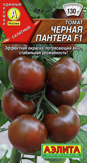 ����� ������ ������� F1