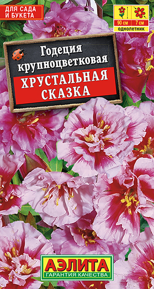 Годеция Хрустальная сказка махровая Годеция Хрустальная сказка махровая