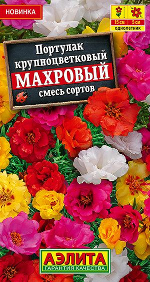 Портулак Крупноцветковый махровый, смесь сортов