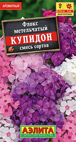 ����� ����������� �������, ����� ������