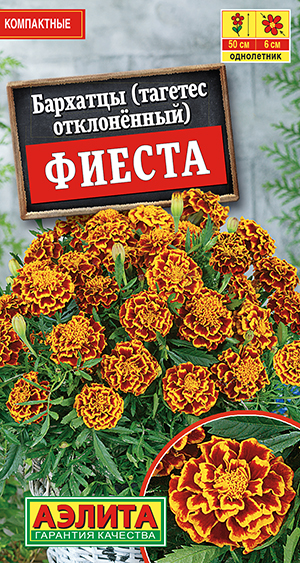 �������� ������ �����������