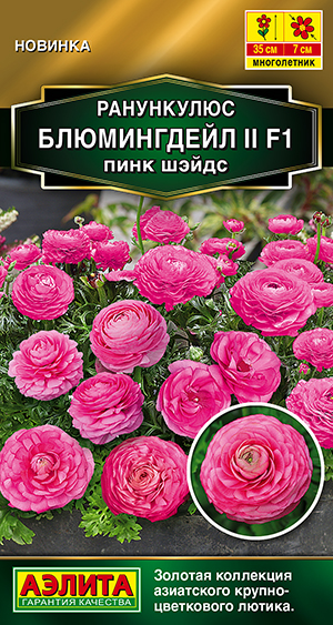 Ранункулюс Блюмингдейл II F1 пинк шэйдс Ранункулюс Блюмингдейл II F1 пинк шэйдс