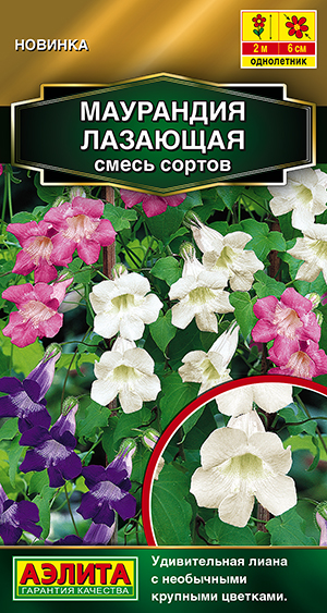 Маурандия лазающая, смесь сортов Маурандия лазающая, смесь сортов