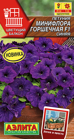 Петуния Минифлора горшечная F1 синяя Петуния Минифлора горшечная F1 синяя