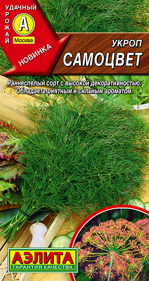 Укроп Самоцвет Укроп Самоцвет