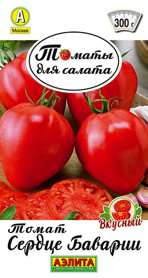 ����� ������ �������