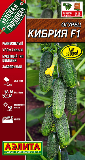 Огурец Кибрия F1