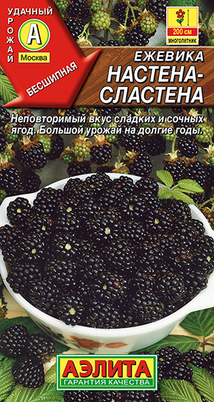 Ежевика Настена-сластена Ежевика Настена-сластена