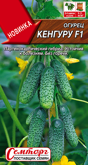 ������ ������� F1