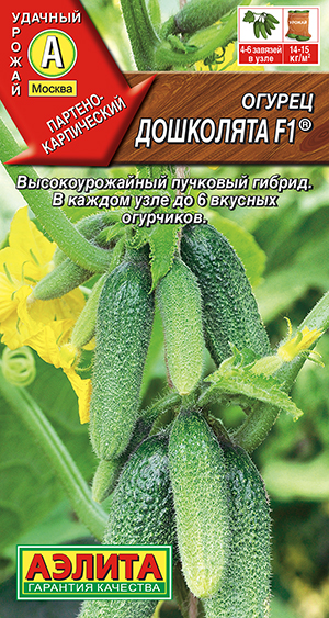 Огурец Дошколята F1 ® Огурец Дошколята F1 ®