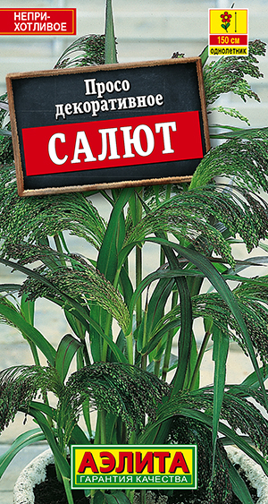 Просо декоративное Салют Просо декоративное Салют