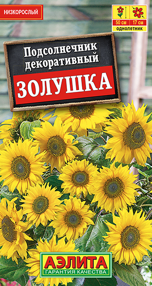 Подсолнечник Золушка Подсолнечник Золушка