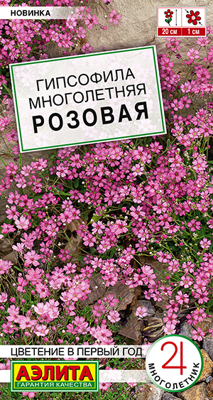 ��������� ����������� �������