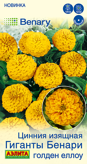 Цинния Гиганты Бенари голден еллоу Цинния Гиганты Бенари голден еллоу