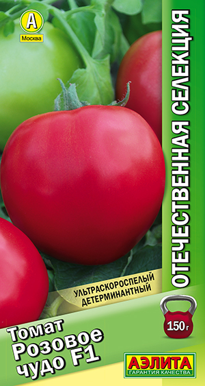 ����� ������� ���� F1