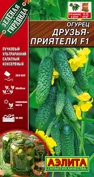 ������ ������-�������� F1