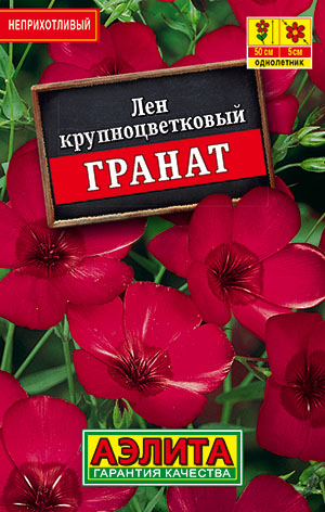 Лен крупноцветковый Гранат Лен крупноцветковый Гранат