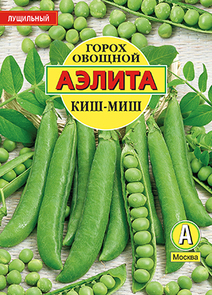 ����� ������� ���-���