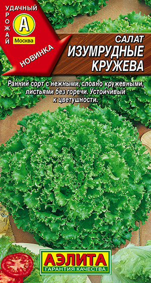 ����� ���������� �������