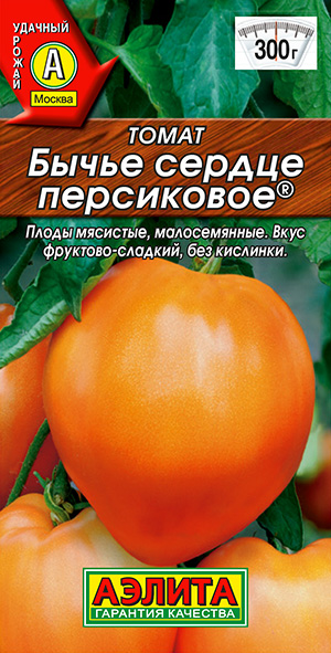 ����� ����� ������ ����������