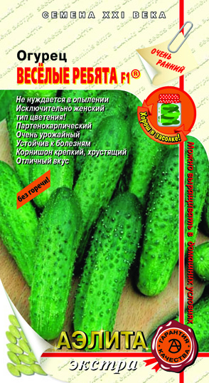 ������ ������� ������ F1