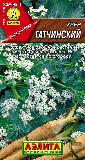 Хрен Гатчинский Хрен Гатчинский