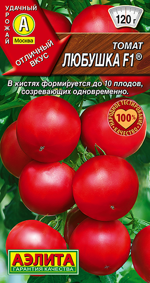 ����� ������� F1