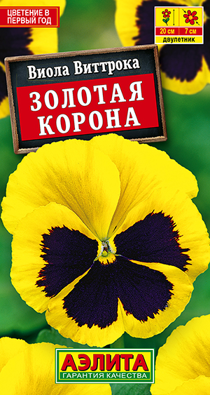 Виола Золотая корона Виола Золотая корона