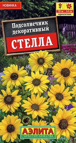 Подсолнечник декоративный Стелла Подсолнечник декоративный Стелла
