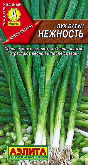 Лук батун Нежность Лук батун Нежность