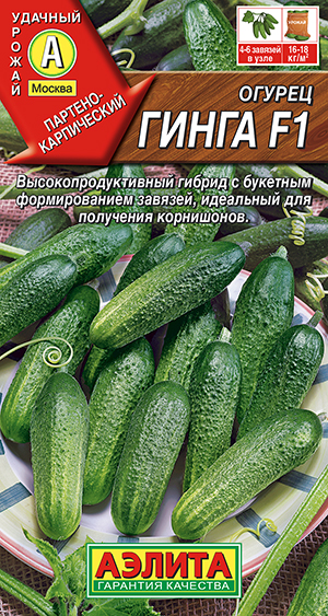 ������ ����� F1