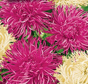 ����� ��������� ������, ����������� ����� ������ (�������-����-�������)