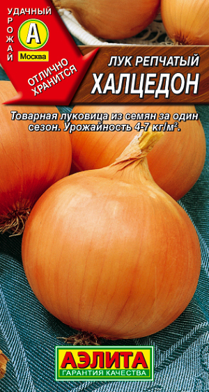 Лук репчатый Халцедон Лук репчатый Халцедон