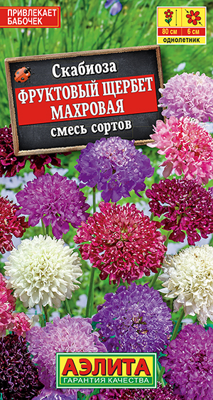 Скабиоза Фруктовый щербет махровая, смесь сортов Скабиоза Фруктовый щербет махровая, смесь сортов