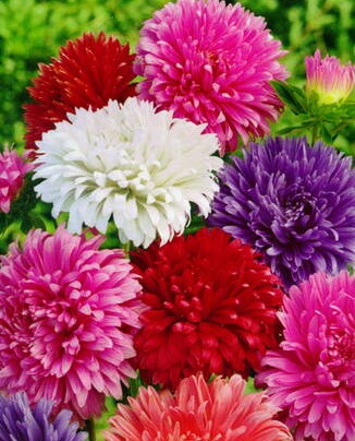 ����� ��������� ���������, ����� ������