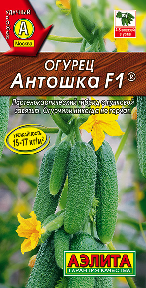 Огурец Антошка F1 Огурец Антошка F1