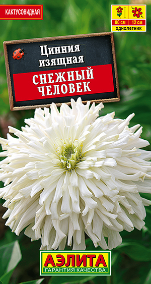 ������ ������� ������� �������������