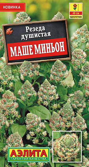 Резеда душистая Маше миньон Резеда душистая Маше миньон